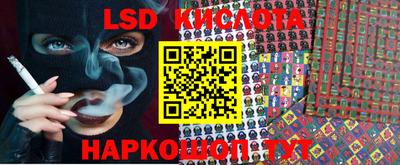 индика Лесосибирск