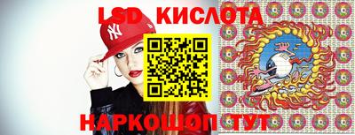 индика Лесосибирск