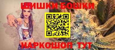 индика Лесосибирск