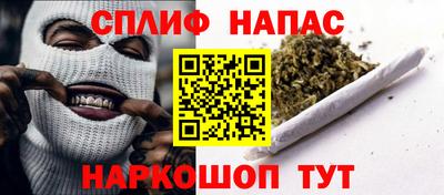 индика Лесосибирск