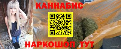 индика Лесосибирск